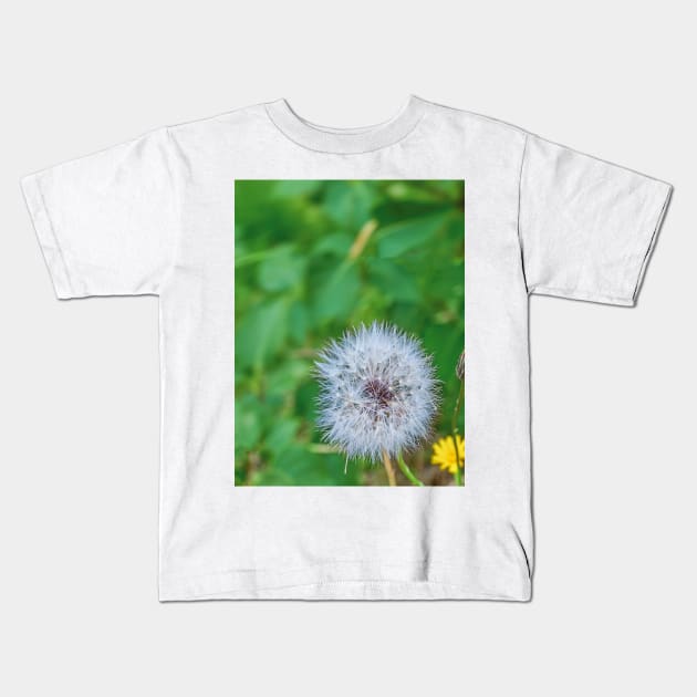 summer picture - dandelion fluff - blowball Kids T-Shirt by Hujer